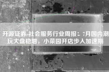 开源证券-社会服务行业周报：7月国内潮玩大盘稳增，小菜园开店步入加速期