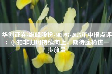 华创证券-继峰股份-603997-2025年中报点评：Q2扣非归母持续向上，期待座椅进一步放量