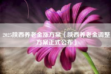 2025陕西养老金涨方案（陕西养老金调整方案正式公布）
