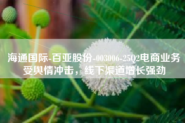海通国际-百亚股份-003006-25Q2电商业务受舆情冲击，线下渠道增长强劲