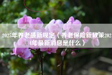 2025年养老最新规定（养老保险新政策2024年最新消息是什么）