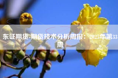 东证期货-期货技术分析周报：2025年第33周