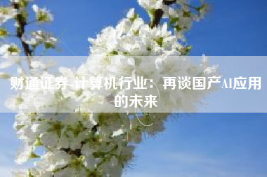 财通证券-计算机行业：再谈国产AI应用的未来