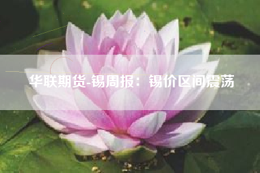 华联期货-锡周报：锡价区间震荡