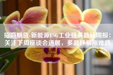 招商期货-新能源ESG工业硅多晶硅周报：关注下周座谈会进展，多晶硅易涨难跌