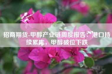 招商期货-甲醇产业链周度报告：港口持续累库，甲醇破位下跌