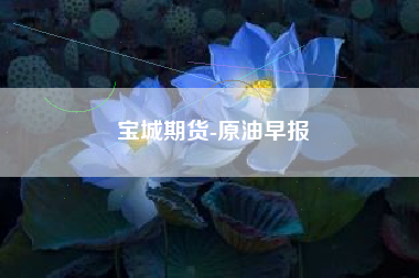 宝城期货-原油早报