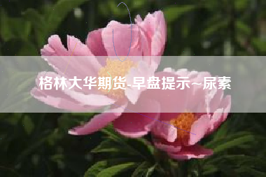 格林大华期货-早盘提示~尿素