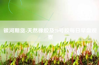 银河期货-天然橡胶及20号胶每日早盘观察