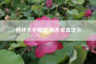 格林大华期货-原木早盘提示