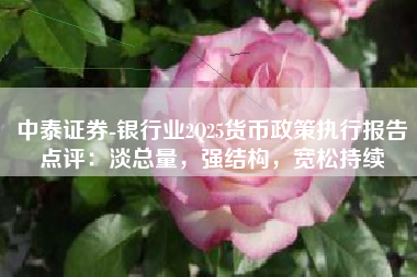 中泰证券-银行业2Q25货币政策执行报告点评：淡总量，强结构，宽松持续