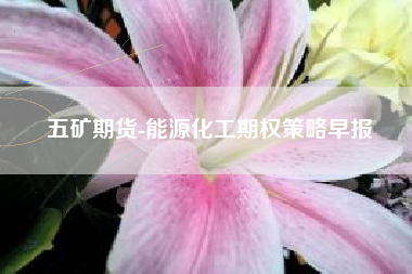五矿期货-能源化工期权策略早报