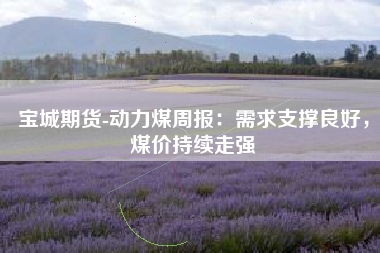 宝城期货-动力煤周报：需求支撑良好，煤价持续走强