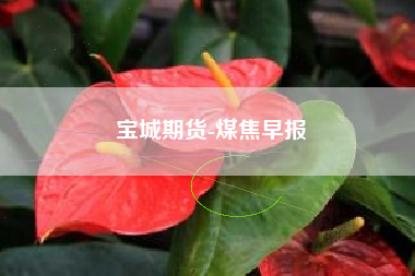 宝城期货-煤焦早报