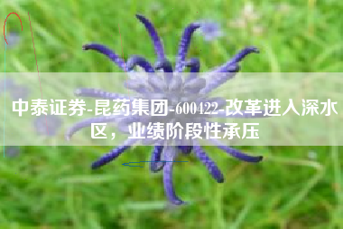 中泰证券-昆药集团-600422-改革进入深水区，业绩阶段性承压