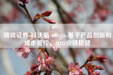 瑞银证券-科沃斯-603486-基于产品创新和成本管控，2Q25业绩稳健