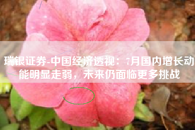 瑞银证券-中国经济透视：7月国内增长动能明显走弱，未来仍面临更多挑战
