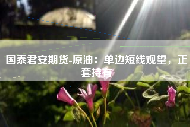 国泰君安期货-原油：单边短线观望，正套持有