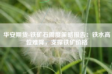 华安期货-铁矿石周度策略报告：铁水高位难降，支撑铁矿价格