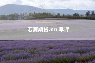 宏源期货-MEG早评