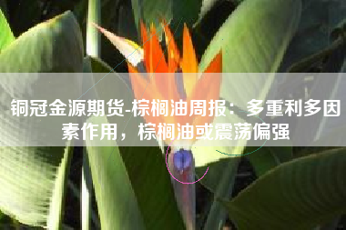 铜冠金源期货-棕榈油周报：多重利多因素作用，棕榈油或震荡偏强