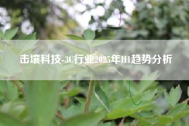 击壤科技-3C行业2025年H1趋势分析