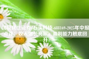 国联民生证券-石头科技-688169-2025年中报点评：收入增长亮眼，盈利能力触底回升