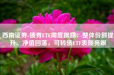 西南证券-债券ETF周度跟踪：整体份额提升、净值回落，可转债ETF表现亮眼