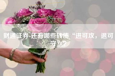 财通证券-还有哪些转债“进可攻，退可守”？