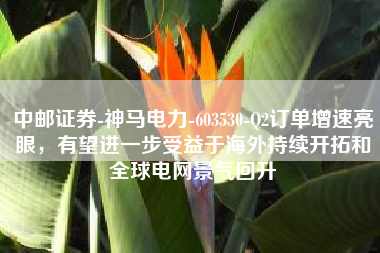 中邮证券-神马电力-603530-Q2订单增速亮眼，有望进一步受益于海外持续开拓和全球电网景气回升