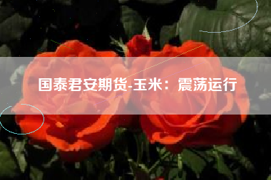 国泰君安期货-玉米：震荡运行