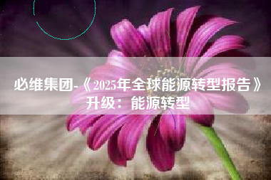 必维集团-《2025年全球能源转型报告》升级：能源转型
