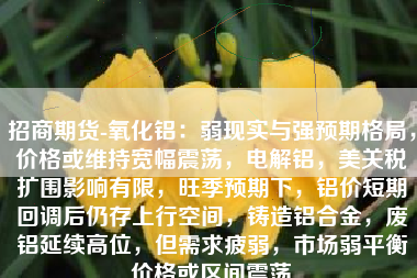 招商期货-氧化铝：弱现实与强预期格局，价格或维持宽幅震荡，电解铝，美关税扩围影响有限，旺季预期下，铝价短期回调后仍存上行空间，铸造铝合金，废铝延续高位，但需求疲弱，市场弱平衡价格或区间震荡