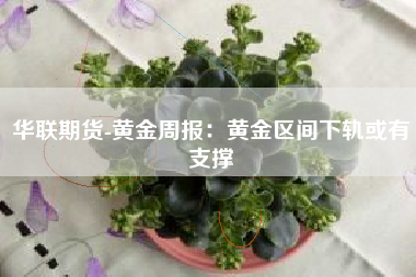 华联期货-黄金周报：黄金区间下轨或有支撑