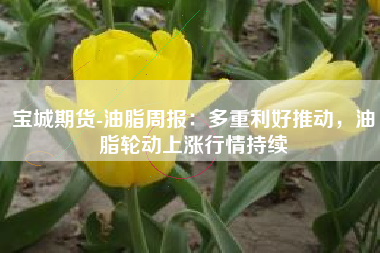 宝城期货-油脂周报：多重利好推动，油脂轮动上涨行情持续