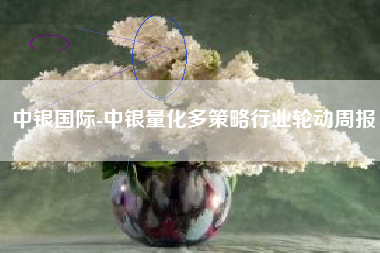 中银国际-中银量化多策略行业轮动周报
