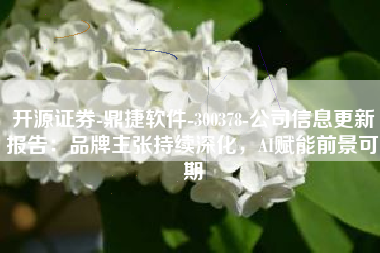 开源证券-鼎捷软件-300378-公司信息更新报告：品牌主张持续深化，AI赋能前景可期