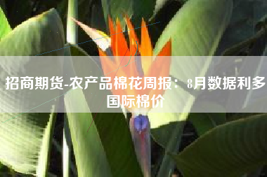 招商期货-农产品棉花周报：8月数据利多国际棉价