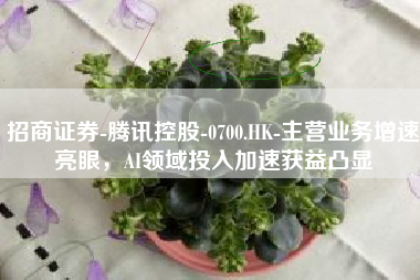 招商证券-腾讯控股-0700.HK-主营业务增速亮眼，AI领域投入加速获益凸显
