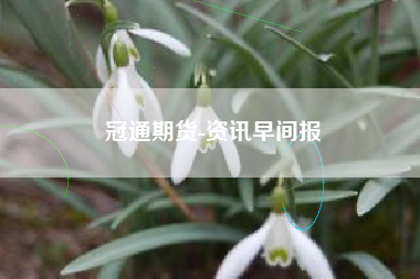 冠通期货-资讯早间报