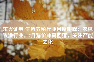 东兴证券-生猪养殖行业月度跟踪：农林牧渔行业，7月猪价冲高回落，关注产能去化