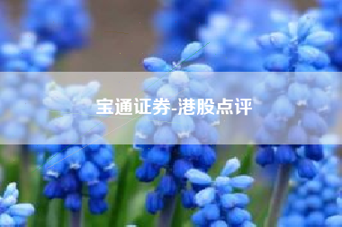 宝通证券-港股点评