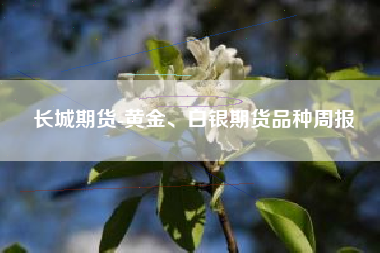 长城期货-黄金、白银期货品种周报