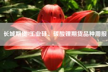 长城期货-工业硅、碳酸锂期货品种周报