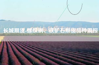 长城期货-螺纹钢、铁矿石期货品种周报