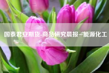 国泰君安期货-商品研究晨报~能源化工