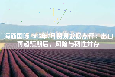 海通国际-2025年7月贸易数据点评：出口再超预期后，风险与韧性并存