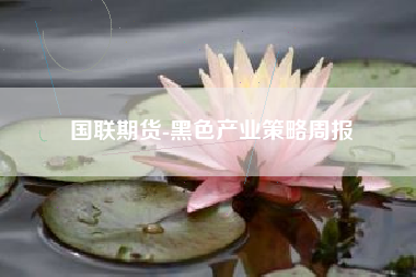 国联期货-黑色产业策略周报