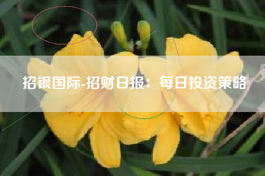 招银国际-招财日报：每日投资策略