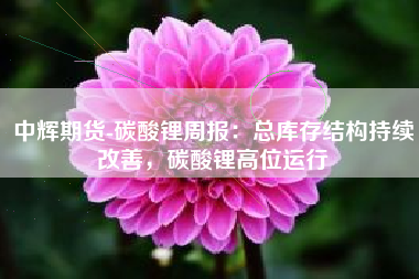中辉期货-碳酸锂周报：总库存结构持续改善，碳酸锂高位运行